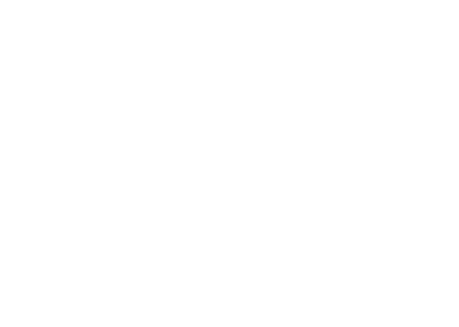 메가X